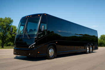New Brunswick Ada Buses